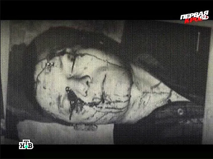 Сергей Шевкуненко Сергей Шевкуненко