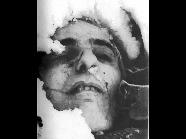 убитый Султан Даудов убитый Султан Даудов