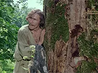фильм «Бронзовая птица» фильм «Бронзовая птица»